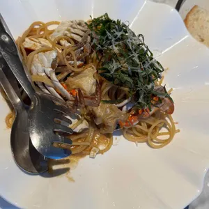 아나키아 사진