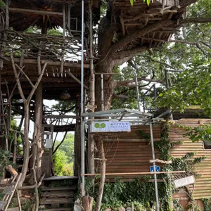 미즈노씨네 트리하우스 대표 사진