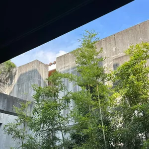 새라울 리뷰 사진
