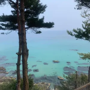 스테이인터뷰 리뷰 사진