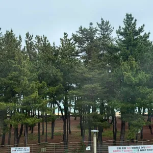 보사노바 커피로스터스 리뷰 사진