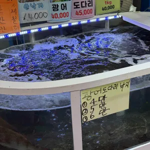 강릉 중앙시장 횟집 파란간판집 대표 사진