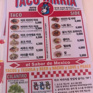타코 비리아 리뷰 사진