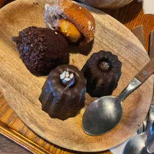 도토리 대표 사진