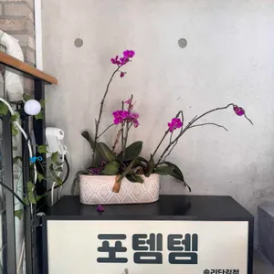 포템템 리뷰 사진