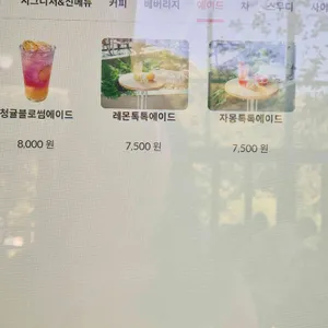 베툴라 리뷰 사진