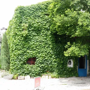 틈 리뷰 사진