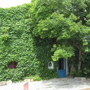 틈 리뷰 사진