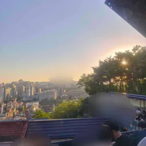 개뿔 대표 사진