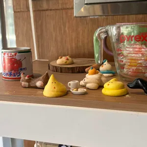 소질 대표 사진