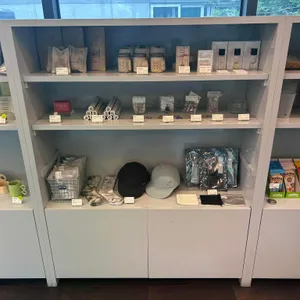 mtl  대표 사진