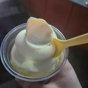 고망고 대표 사진
