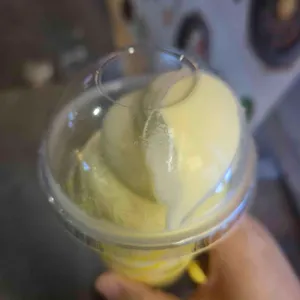 고망고 대표 사진