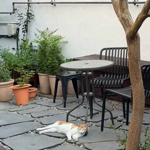 카페 한채 리뷰 사진