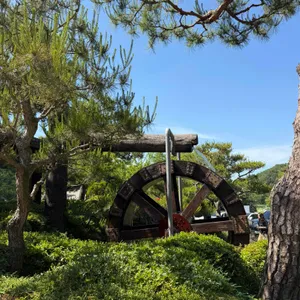 물레방아 대표 사진