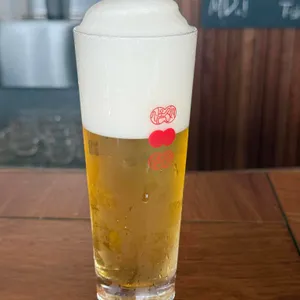 서울집시 퍼멘테리아 대표 사진