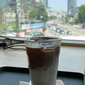 콘하스 사진