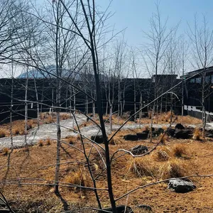머른커피앤바 리뷰 사진