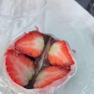 모찌마루 사진