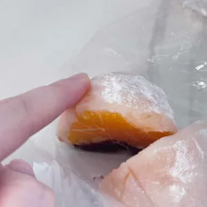 모찌마루 사진