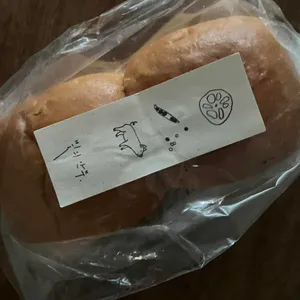 빛의 안부 사진