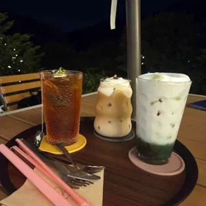 아프리코 대표 사진
