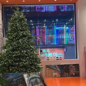 대설 대표 사진