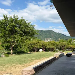 쉐즈롤 리뷰 사진