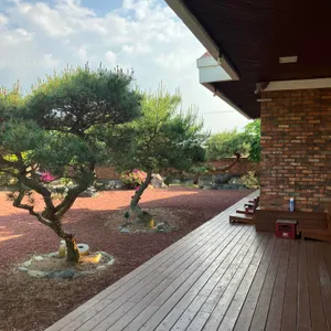 이리 리뷰 사진