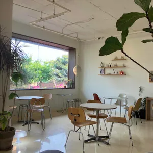 이리 대표 사진