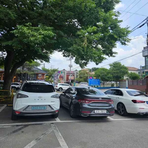 황금코다리 리뷰 사진