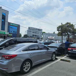 황금코다리 리뷰 사진