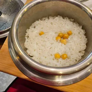 황금코다리 사진