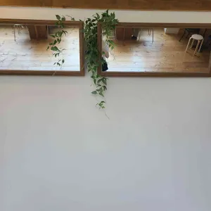 마일드스넉 리뷰 사진