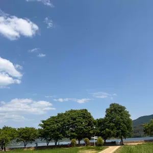 두물머리 연핫도그 리뷰 사진