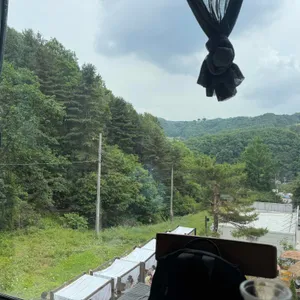 코드라인 대표 사진