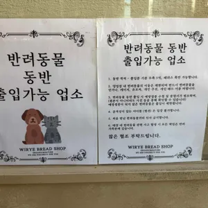 위례빵집 리뷰 사진