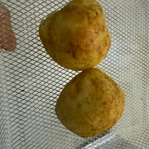 강릉이래요 대표 사진