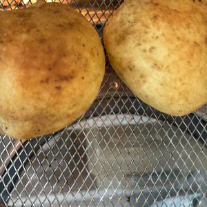 강릉이래요 대표 사진