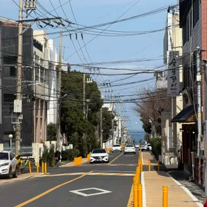 신제주 보말칼국수 리뷰 사진