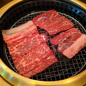 가보정 사진