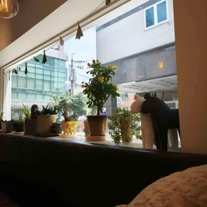 번아웃커피 대표 사진