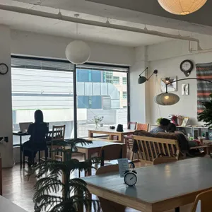 덴하그 대표 사진