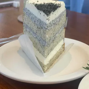 커민 대표 사진