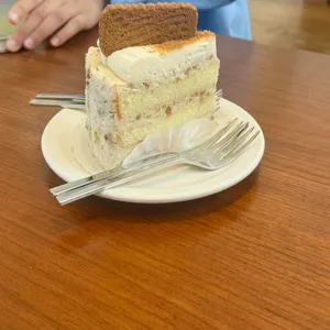 커민 대표 사진