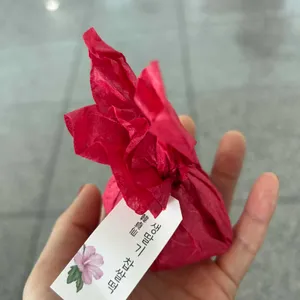 한정선 녹 사진