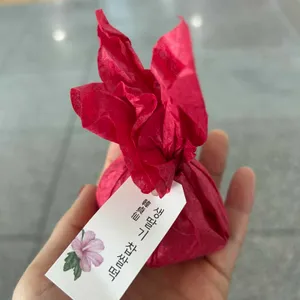 한정선 녹 사진