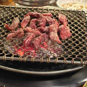 끼로끼로부엉이 대표 사진