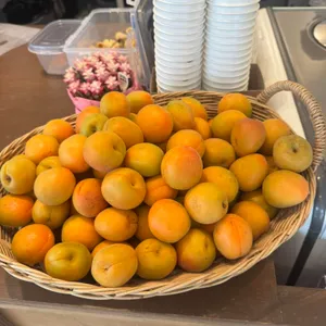 JOC젤라또 대표 사진