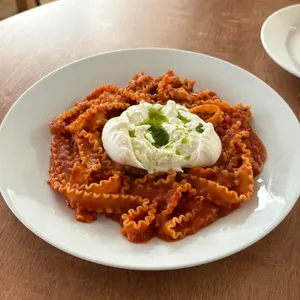무쉬 대표 사진